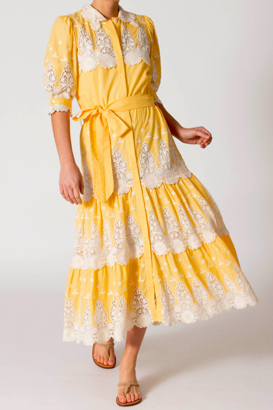 Ophelia Hummingbird Shirt Dress